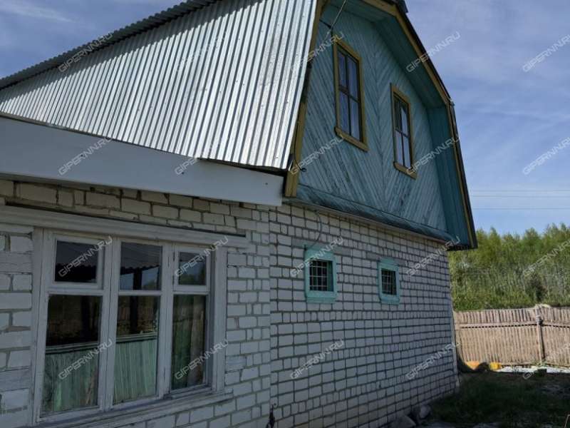 дом на улице Садовая деревня Карабасиха