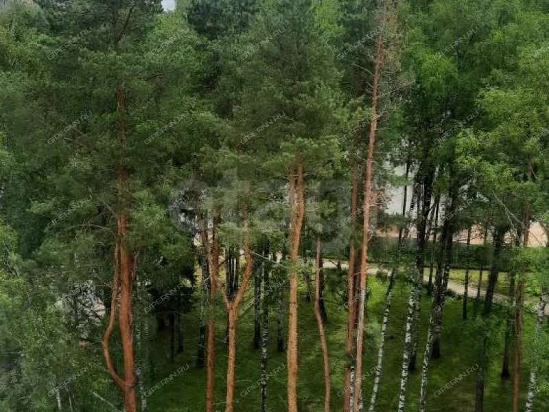 двухкомнатная квартира на Анкудиновском шоссе дом 11б